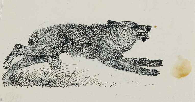 Курдов Валентин Иванович. Волки. Лот из трех иллюстрация к книге В. Бианки «Повести и рассказы о природе»